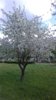 20170526_122256.jpg