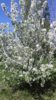 20170526_122610.jpg