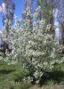 20170526_122649.jpg