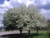 20170526_123756.jpg