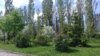 20170526_124512.jpg