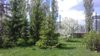 20170526_124606.jpg