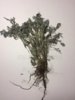 xUTo2vCDcqk.jpg