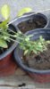 20170528_080638.jpg