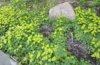 IMG_20170506_095931.jpg