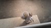 20170531_151446.jpg