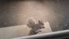 20170531_151453.jpg