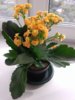 20170611_163143.jpg