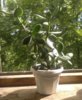 2017-06-14-1840.jpg