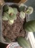 2017-06-14-1846.jpg
