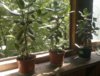 2017-06-14-1849.jpg