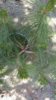 IMG-20170611-WA0016.jpg