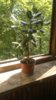 2017-06-14-1847_LI.jpg