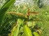 IMG_2017-06-07_113638.jpg