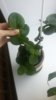 20170621_130023.jpg