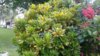 20170617_073937.jpg