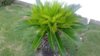 20170616_075051.jpg
