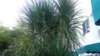 20170616_080031.jpg