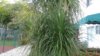 20170616_080026.jpg