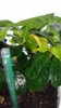 20170623_075451.jpg