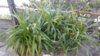 20170616_074831.jpg