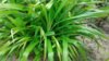 20170612_163038.jpg