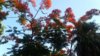 20170616_075228.jpg