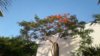 20170616_074429.jpg