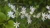 WP_20170625_12_45_43_Rich.jpg