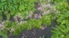 WP_20170625_12_45_18_Rich.jpg