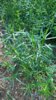 WP_20170624_17_24_10_Rich.jpg