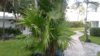 20170617_073549.jpg