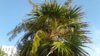 20170616_074329.jpg