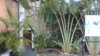 20170617_073206.jpg