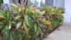 20170616_075853.jpg