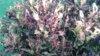 20170616_074013.jpg