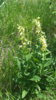 20170625_143321.jpg