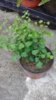 20170620_081508.jpg