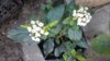 20170610_101442.jpg