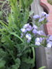 20170623_185156.jpg