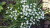 IMG-20170701-WA0001.jpg