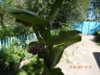 DSCN1437.JPG
