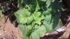 20170706_125233.jpg
