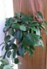 20170505_084526.jpg