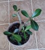 20170525_073214.jpg