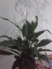 20150208_082610.jpg