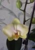 20160515_090212.jpg