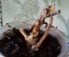 20160703_194205.jpg