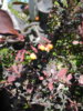 DSCN6422.JPG