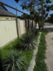 DSCN6425.JPG